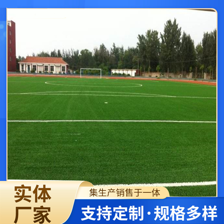 汉中市EPDM颗粒人造草坪 - 排名